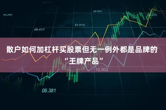 散户如何加杠杆买股票但无一例外都是品牌的 “王牌产品”