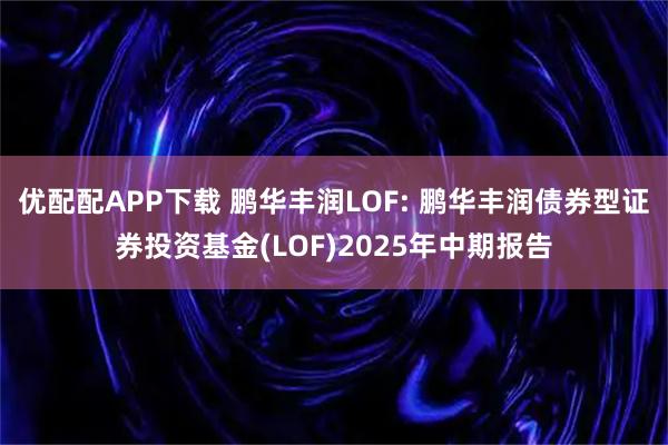 优配配APP下载 鹏华丰润LOF: 鹏华丰润债券型证券投资基金(LOF)2025年中期报告
